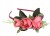 e0cbafefd2525baf5fc4a170602df904