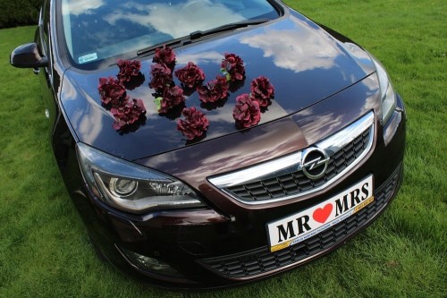 a04e0162e68bb022994bb0b7bef968c6