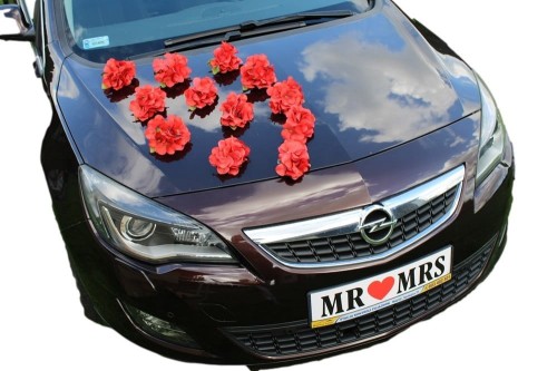 8609351385e359b912d8f2c0a52cda36