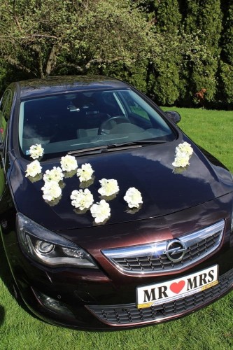 f2482fd071933b270bc3a33a2be7929f