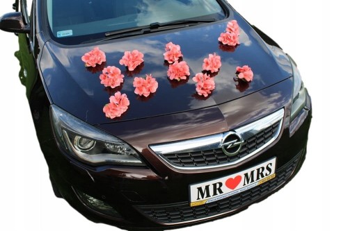 321a8e8f785b9cc80eb09fad4bef3b3e