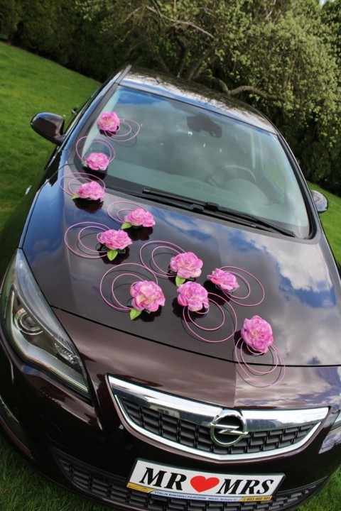 41f248a9455f31efc0bf4aa101d67264