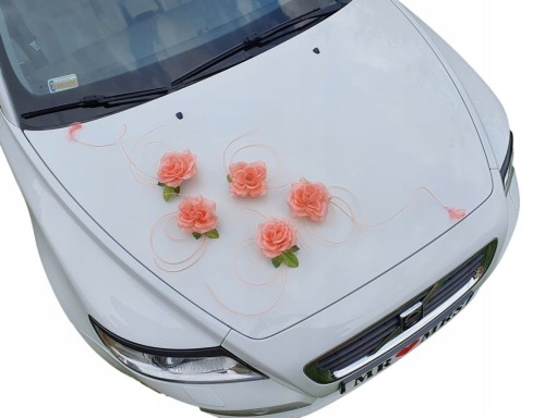 b9ff70060afa2b81eec9003866d09248