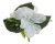 f8ef0a2539009f7fc002062b98e62eb8