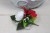 1b6bc4b4902e847cf85db1f7084a9b4d
