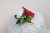 98aead4f57029d1eda2d9014a7a805e9