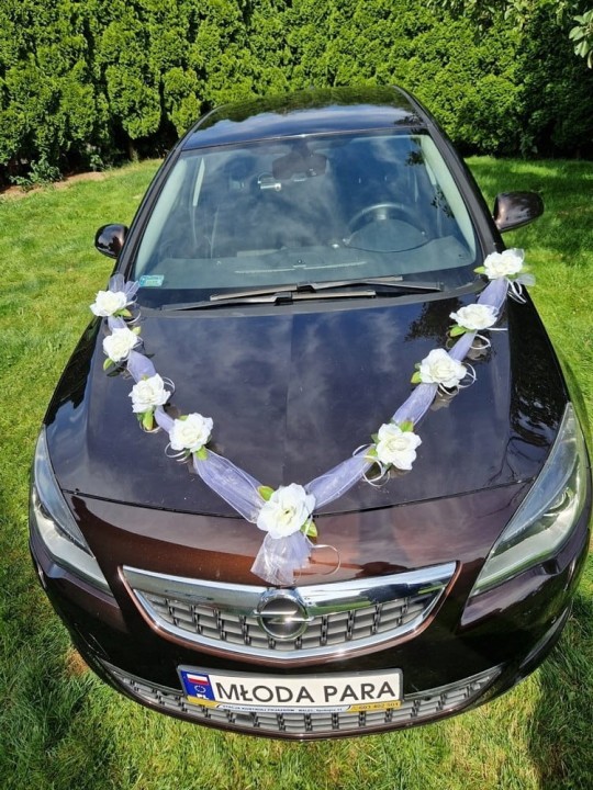 1268995adae79f8a61518cd8d4dec98e