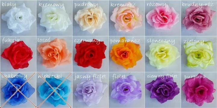 0b0e54818e80b64f428fed49c3e3aa9b