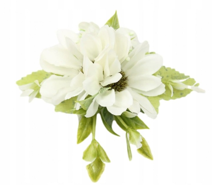 141407e9b701125d0e6d459abc054a74