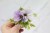 bd812d15d56ae8585b6e41f53b0440a8