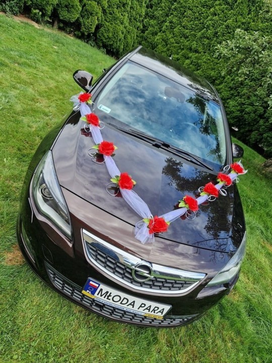 05aac7d3317495351abb18000f5edaf3