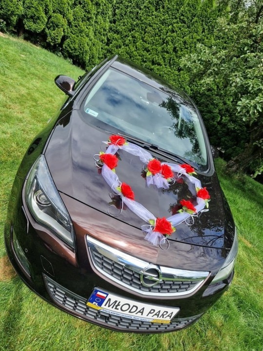 ab47952530fa6ac727ba95c1e7a679fd