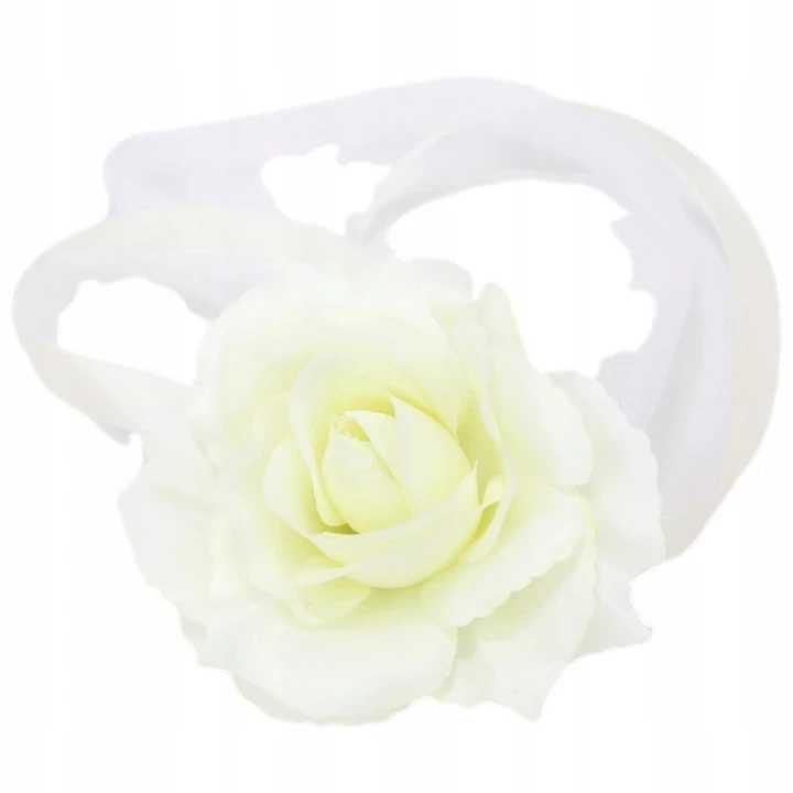 4c5c2519706a3d134859698c79a8d135