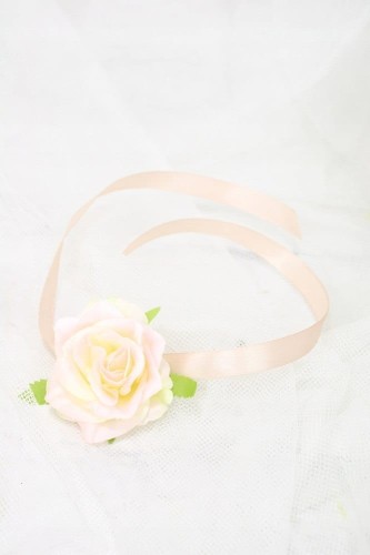 278668a83f2047b40066b97d006b26c6