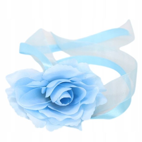 2ae45cc30a1b759a10866e186bba9ff4