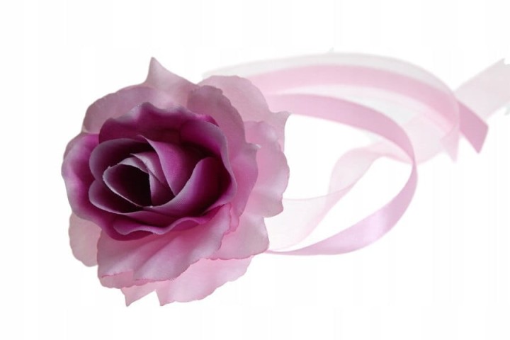 1e2e2423a779157506d5db45947bd669