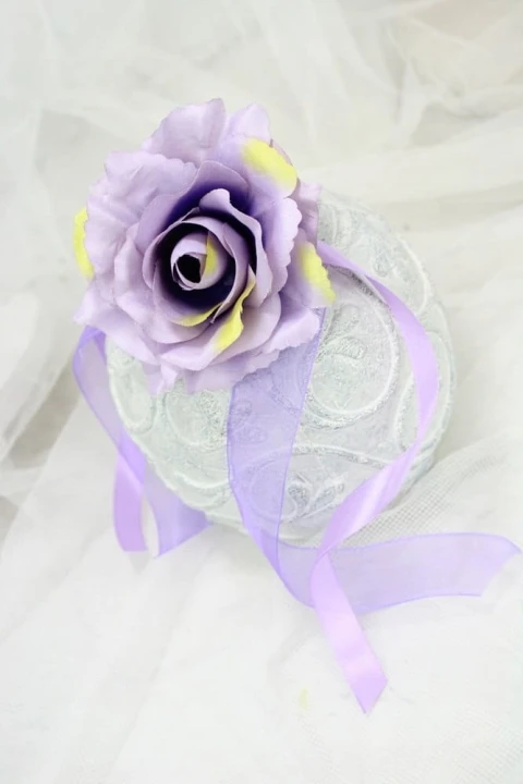 5ca3f5baf6082763fbdd95d22eb004e5