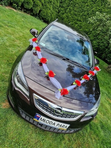 45e13726ded0106c55c693215172f866