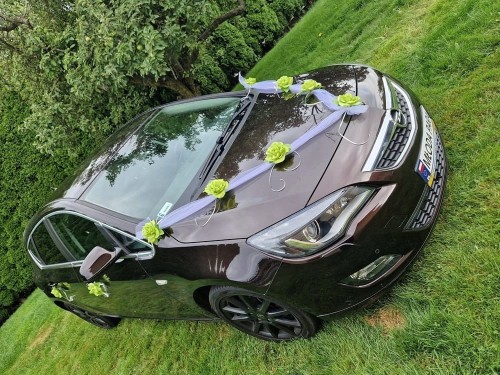 6041d75d61193baede89ec9bc641643b