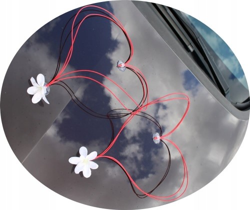 c989677637ff1c4360ecf44a74d053d2