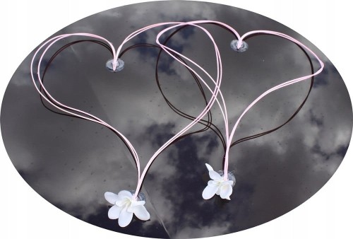 d83ae615713a602bc93acb25727d43e3