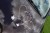 6136adca7dae85f485f4d4845b12c44e