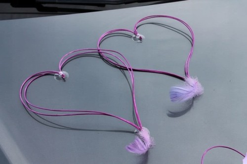 a8121a229c941d24b1e6c7e7b66a8e56