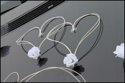 740f0c597f1bcdee1a65f9f527b8c93e