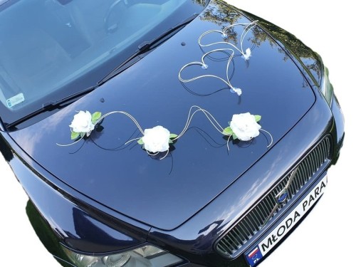 1fd50c6af7b4bd0e293503a7ea9a724e