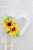 d26c383dfdfc8d61e2a89a68c429ed1c