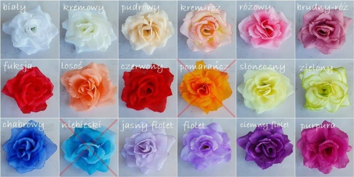 a2a95a10b010dc231f804bc568f786bd