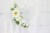 ba840d274ca2fce51705fb9cc8ed8248