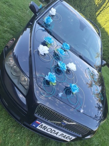 5ff96bf4b4ce249781fdb54922a791aa