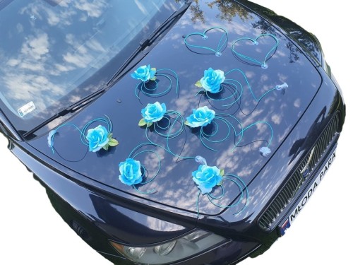 e9f3db0286ed9bc9282301131aaef5d6