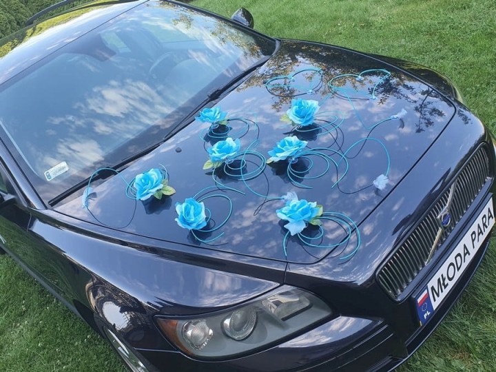 915fdbb6c2df344e93b884817775c749