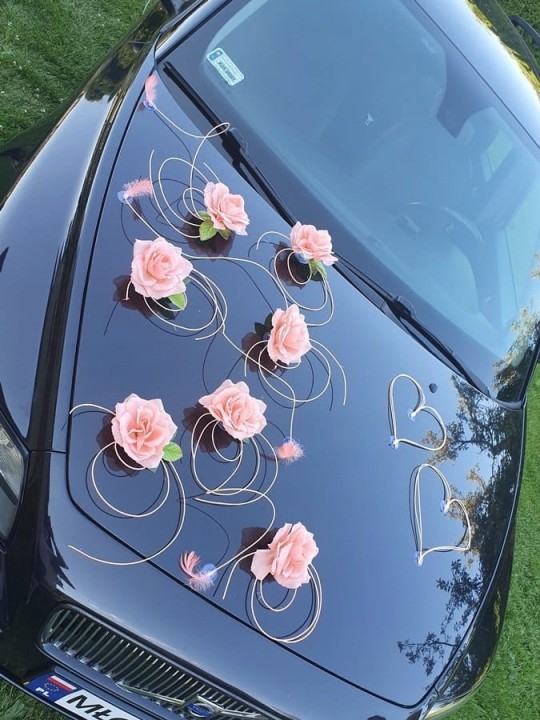 79f68f2a009cda76d2a98bbf2eb0035b