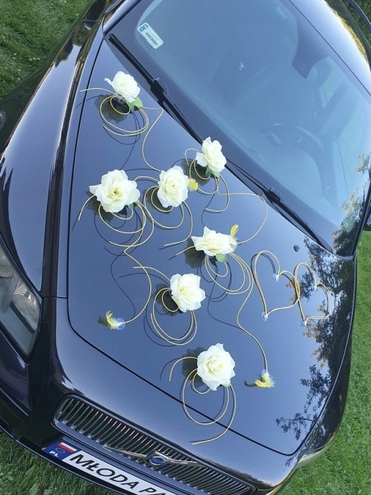 0392296f215e4a617968a0bfc36d6072