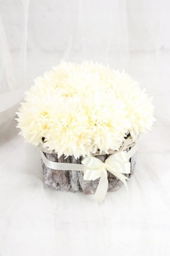 e0d4b4519c26cfdf0171c0feb27876ca