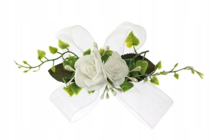 bf94ed1b1c5022a735cea0a04cf5c477