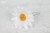 2ba688c537e889afdd48d8c461769220