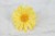 e080db61d30e657083ffd563c6b84733