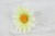 7d00d55dc7eef1247ffbeb6756559320