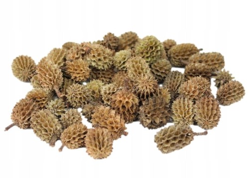 29abfdcebcda0ac102bc5f9e4f14abd3