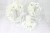 ed62a1934cc289cce33bba1e0aaa9a30
