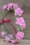 2b636de81aa918419b3e3bc4a157a335