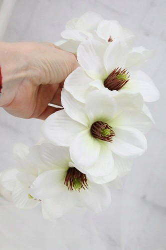 c9cdbd8abb98607c10a03be97bf7f8b0