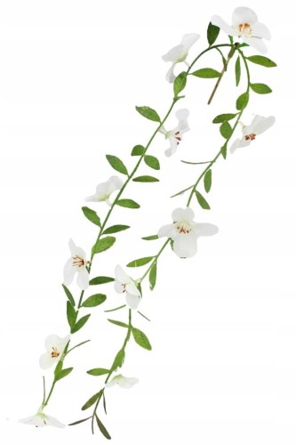 27dad99c76f9ca74c43bc9f88c18d126