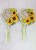 c1677f7637da93384f49209cdf34046c