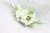 2b4d23281cce23d9eea51be2cbe7a514