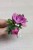 58a62a945e39290ba275f11dae5ea561